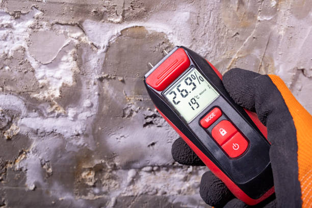 Best Kitchen Mold Remediation in Ball Ground, GA